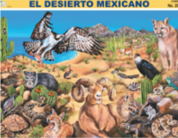 cromo-El-Desierto-Mexicano