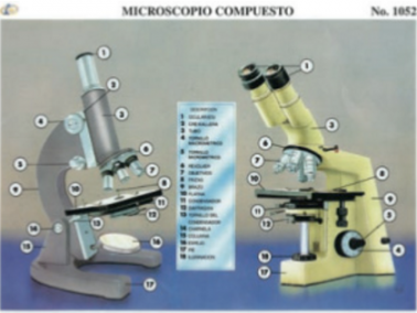 cromo-El-Microscopio