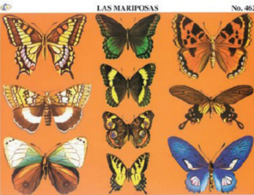 cromo-Las-Mariposas